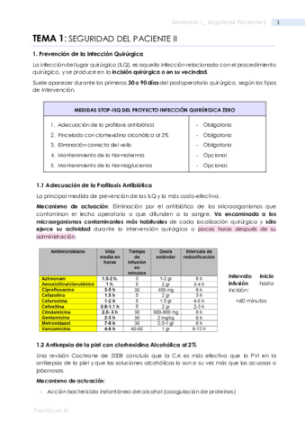 SEM1SEGURIDAD-DEL-PACIENTE.pdf
