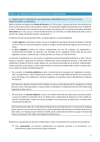 Derecho-Constitucional-.pdf