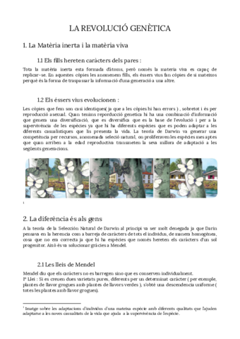 CMCAPUNTSUNITAT4.pdf