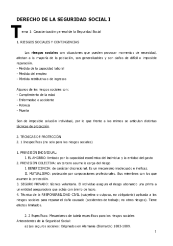 Derecho-de-la-Seguridad-Social-I.pdf