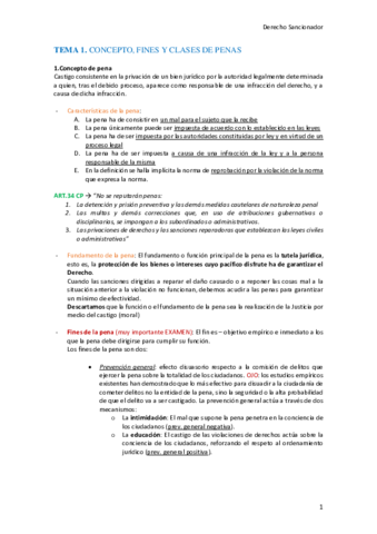 Apuntes-Sancionador.pdf
