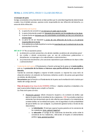Apuntes-Sancionador-2.pdf
