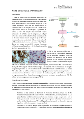 TEMA-5-ENDO.pdf