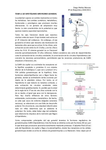 TEMA-6-ENDO.pdf