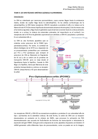 TEMA-4-ENDO.pdf