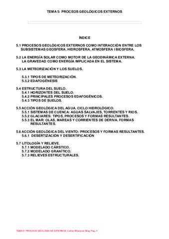 TEMA-5-PROCEOS-GEOLOGICOS-EXTERNOS.pdf
