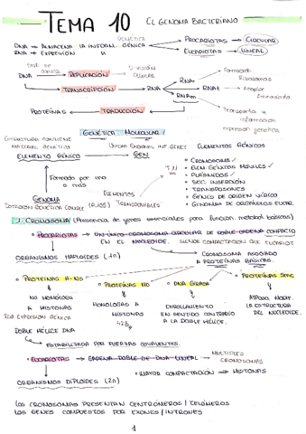 TEMA-10-RESUMIDO.pdf
