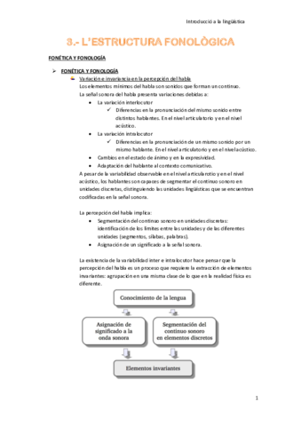 TEMA-3-Lestructura-fonologica.pdf