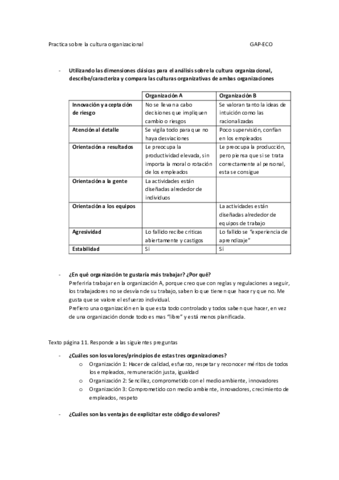 Practica-sobre-cultura-organizacional.pdf