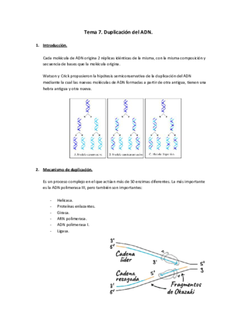 Tema-7.pdf