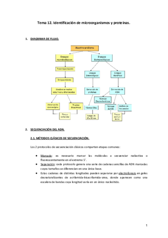 Tema-12.pdf