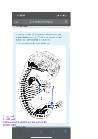 preguntas-todas-las-practicas.pdf