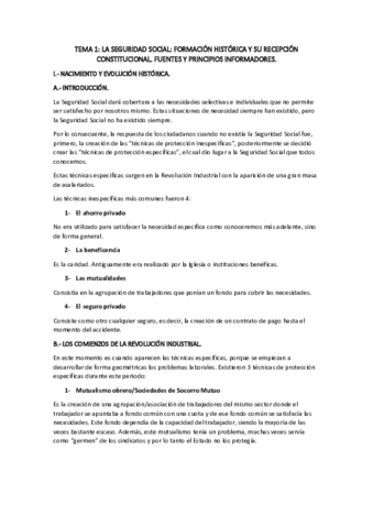 TEMA-1-SEGURIDAD-SOCIAL-.pdf