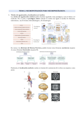 T2-NEUROPATOLOGIAS.pdf