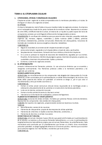 RESUMEN-TEMA-6-bio.pdf