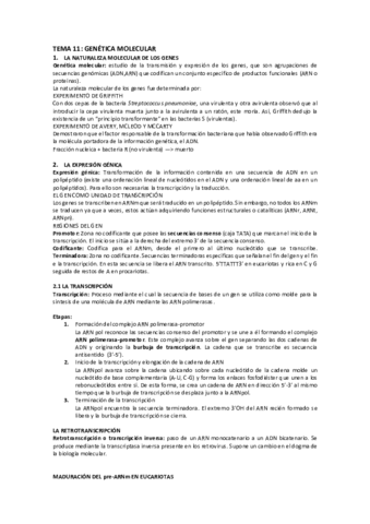 RESUMEN-TEMA-11-bio.pdf