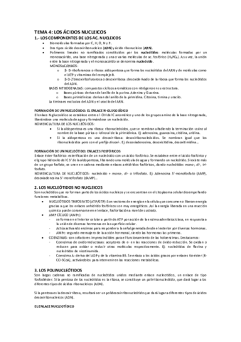 RESUMEN-TEMA-4-bio.pdf