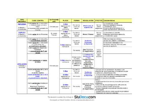 Esquema de Recursos del Proceso Penal (PERFECTO).pdf