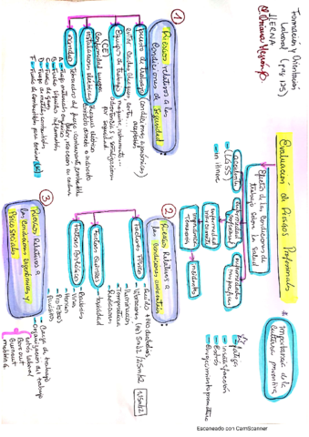 orientacion-laboral-2.pdf