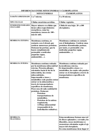 TABLAMITOCCLOROPLASTOSactiv.pdf