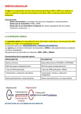 Genetica-molecular.pdf