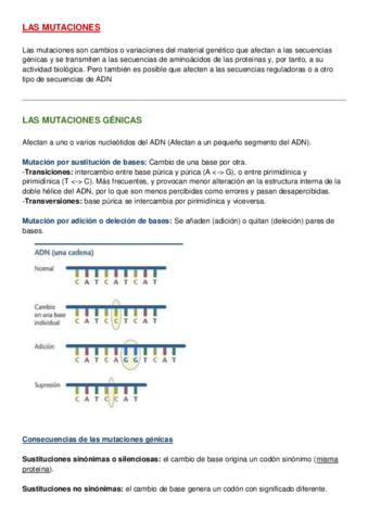 Las-mutaciones.pdf