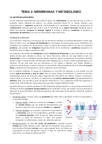 Apuntes-bio.pdf