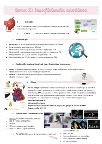 CARDIO2.pdf