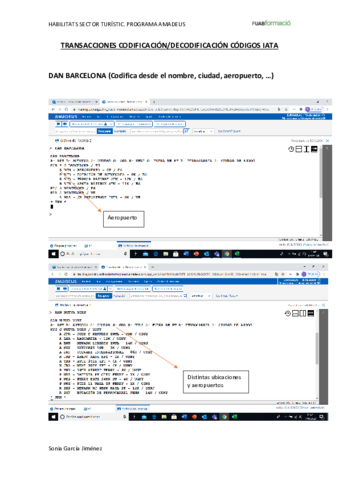 Transacciones-codificacion-y-decodificacion-IATA.pdf
