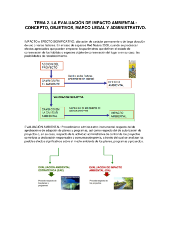 TEMA-2.pdf