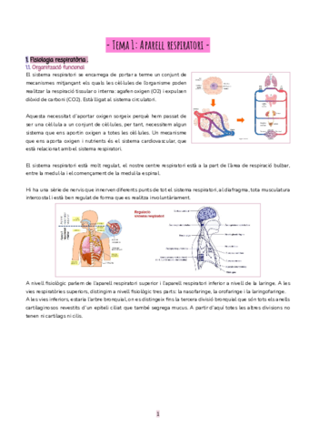 fisiologia-dels-organs-de-la-veu-i-la-parla.pdf