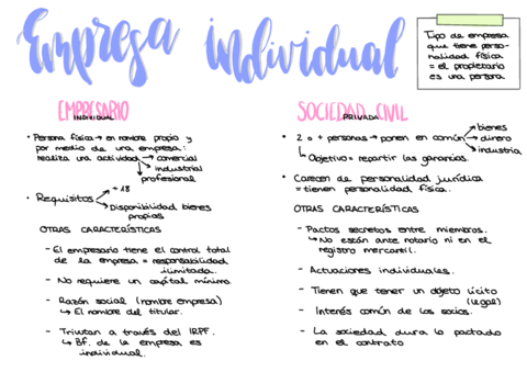 Empresa-Individual-.pdf