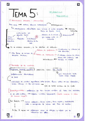 3-Tema-5.pdf