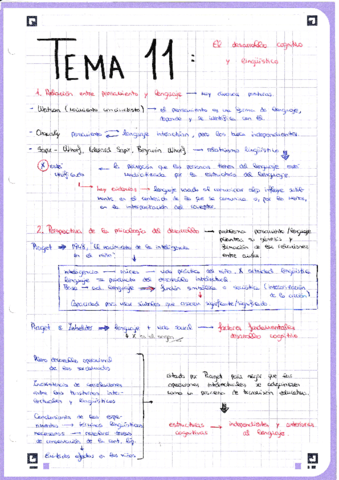 3-Tema-11.pdf