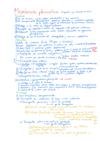 Citologia-I.pdf