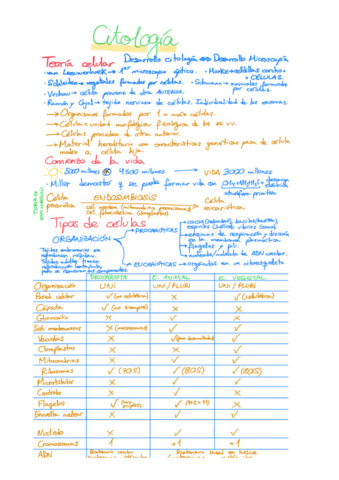 Ciclo-celular.pdf