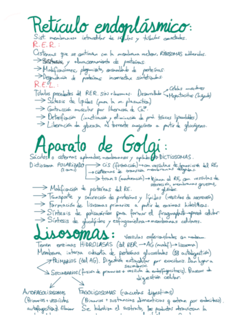 Citologia-II.pdf
