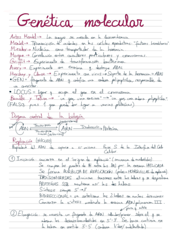 Genetica-molecular.pdf