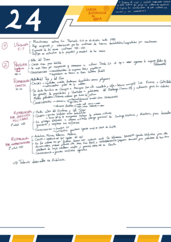 24.pdf