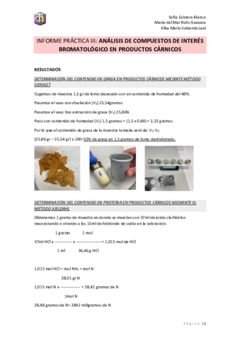 INFORME-PRACTICA-III-carne.pdf