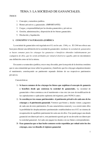 TEMA-3.pdf