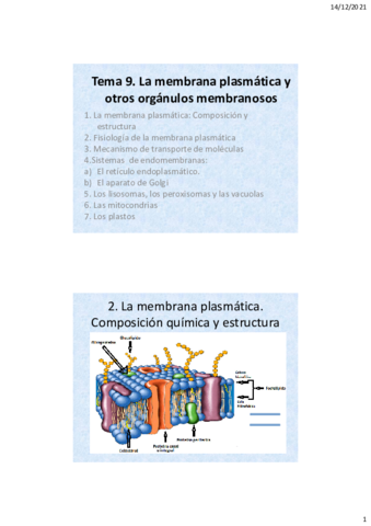 Tema-9-membrana-plasmatica-.pdf