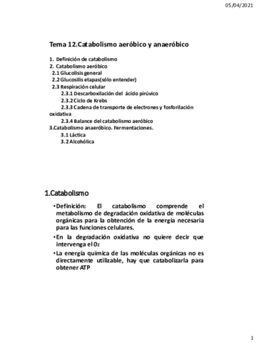 Tema-12.pdf
