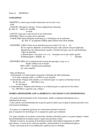 Tema-14.pdf