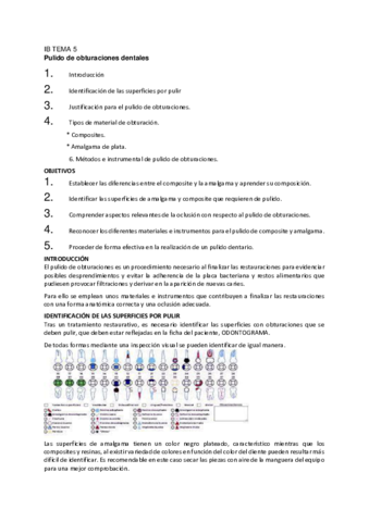 IB-TEMA-5.pdf