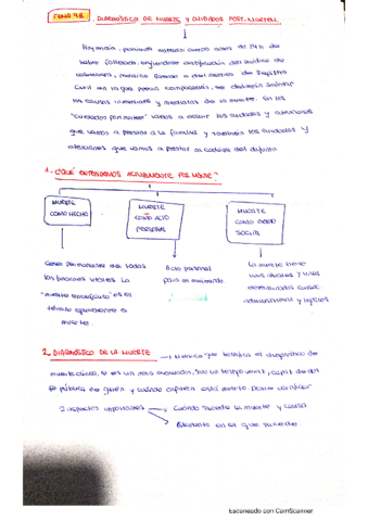 TEMA9BSumarivaSotoAnays.pdf