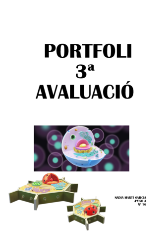 Portfolio-3a-evaluacion.pdf