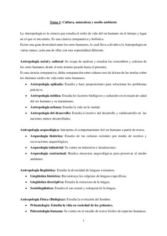 RESUMEN-Tema-1.pdf