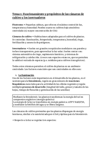 PIM-SIS-I-2.pdf