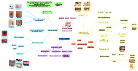 La-piel-y-el-almuerzo.pdf